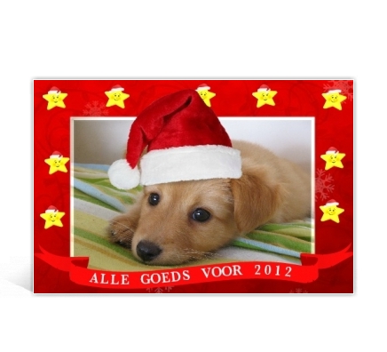 Voorbeeld foto kerstkaart met lintenlijst