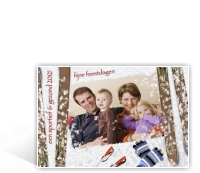 Voorbeeld foto kerstkaart met skies