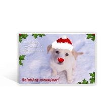 voorbeeld foto kerstkaart met hond en muts